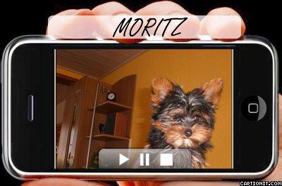 MORITZ<a href="profile.php?lookup=133"> - moritz</a><br/>
		         Komentarzy: 0
 Obejrzano:  12726 Ocena: <img src="images/star.gif" alt="*" style="vertical-align:middle"/><img src="images/star.gif" alt="*" style="vertical-align:middle"/><img src="images/star.gif" alt="*" style="vertical-align:middle"/><img src="images/star.gif" alt="*" style="vertical-align:middle"/><img src="images/star.gif" alt="*" style="vertical-align:middle"/>
