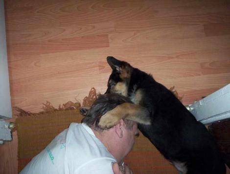 Śpij kolego<a href="profile.php?lookup=77"> - KazioR</a><br/>
		         Komentarzy: 0
 Obejrzano:  16036 Ocena: <img src="images/star.gif" alt="*" style="vertical-align:middle"/><img src="images/star.gif" alt="*" style="vertical-align:middle"/><img src="images/star.gif" alt="*" style="vertical-align:middle"/><img src="images/star.gif" alt="*" style="vertical-align:middle"/><img src="images/star.gif" alt="*" style="vertical-align:middle"/>
