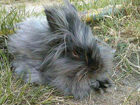 Bonifacy<a href="profile.php?lookup=76"> - sandradytman</a><br/>
		         Komentarzy: 0
 Obejrzano:  16028 Ocena: Brak
