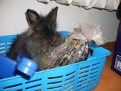 Bonifacy<a href="profile.php?lookup=76"> - sandradytman</a><br/>
		         Komentarzy: 0
 Obejrzano:  15638 Ocena: Brak
