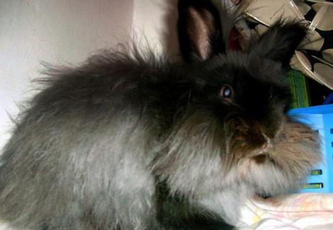 Bonifacy<a href="profile.php?lookup=76"> - sandradytman</a><br/>
		         Komentarzy: 0
 Obejrzano:  15687 Ocena: Brak
