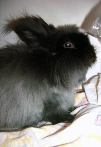 Bonifacy<a href="profile.php?lookup=76"> - sandradytman</a><br/>
		         Komentarzy: 0
 Obejrzano:  16047 Ocena: Brak
