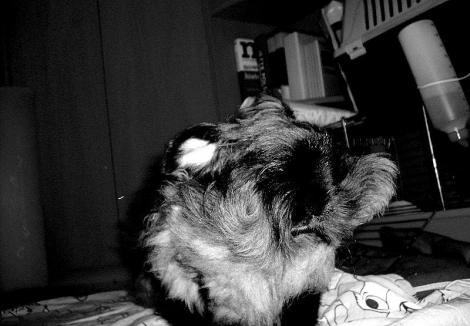 Bonifacy<a href="profile.php?lookup=76"> - sandradytman</a><br/>
		         Komentarzy: 0
 Obejrzano:  15757 Ocena: Brak
