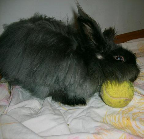 Bonifacy<a href="profile.php?lookup=76"> - sandradytman</a><br/>
		         Komentarzy: 0
 Obejrzano:  15851 Ocena: Brak
